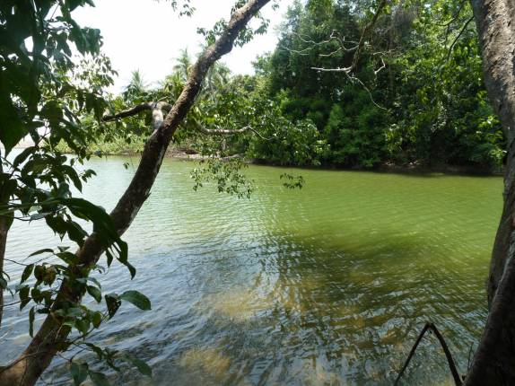 O rio Sirena, frequentado por crocodilos e tubarões, no Parque Nacional Corcovado, na Península de Osa, no sul da Costa Rica